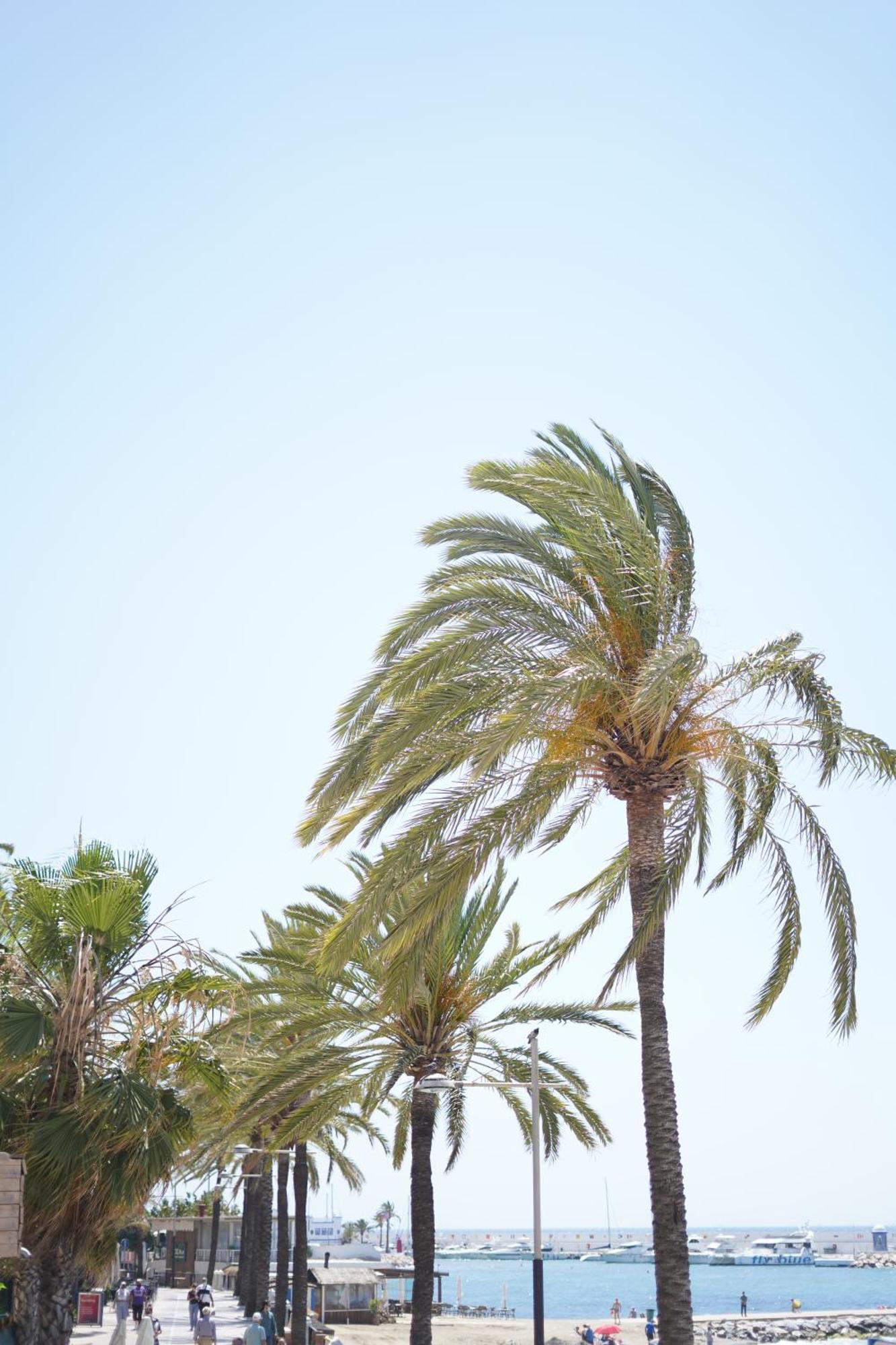Great Near The Sea *