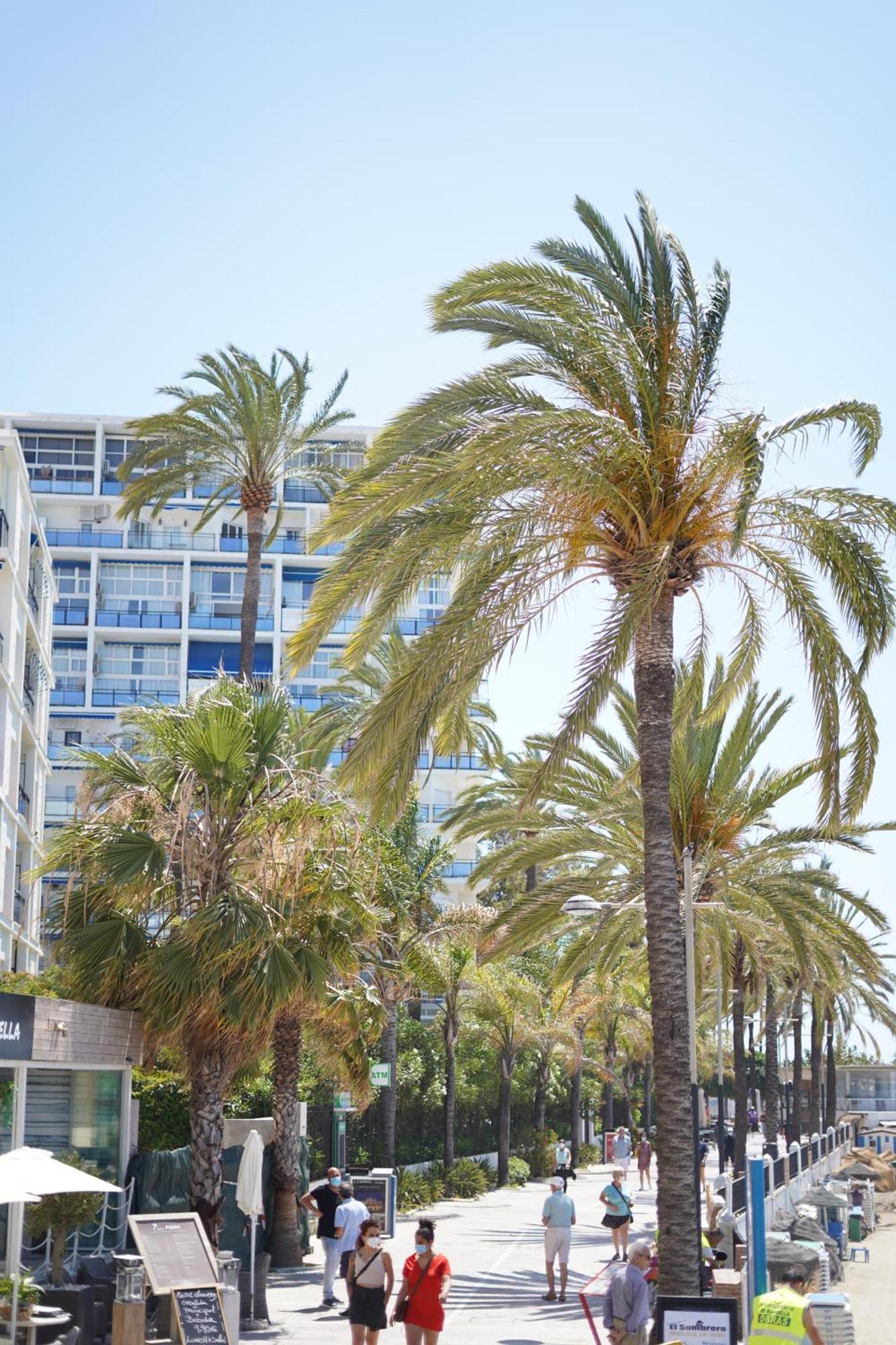 Great Near The Sea * Marbella